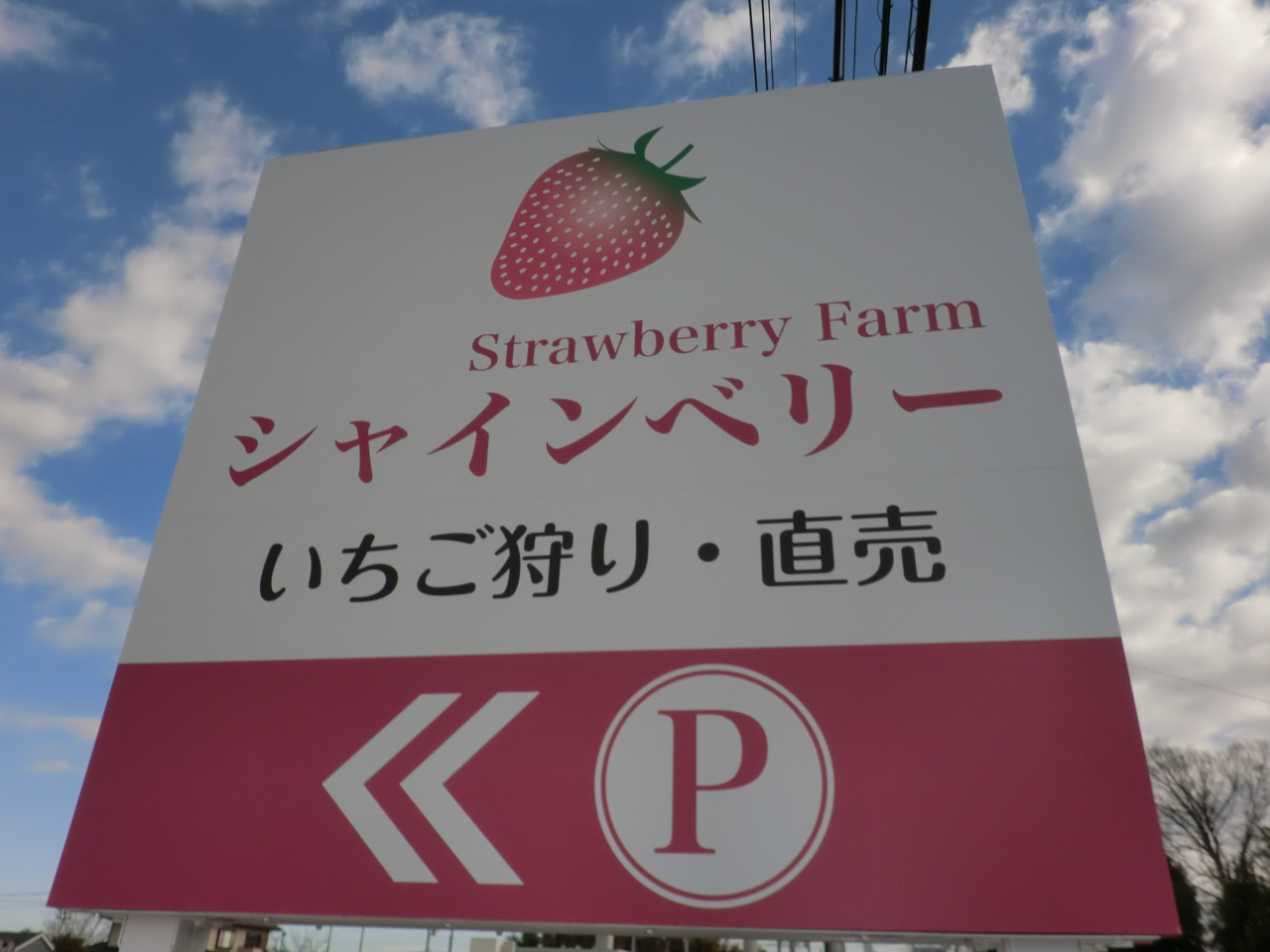 【じゃらんのお得な10日間】【千葉市・いちご狩り】園主厳選5品種の美味しいイチゴ...