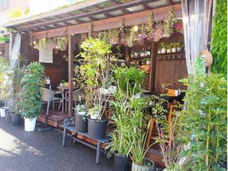 開放的なウッドテラスでお楽しみいただけます。