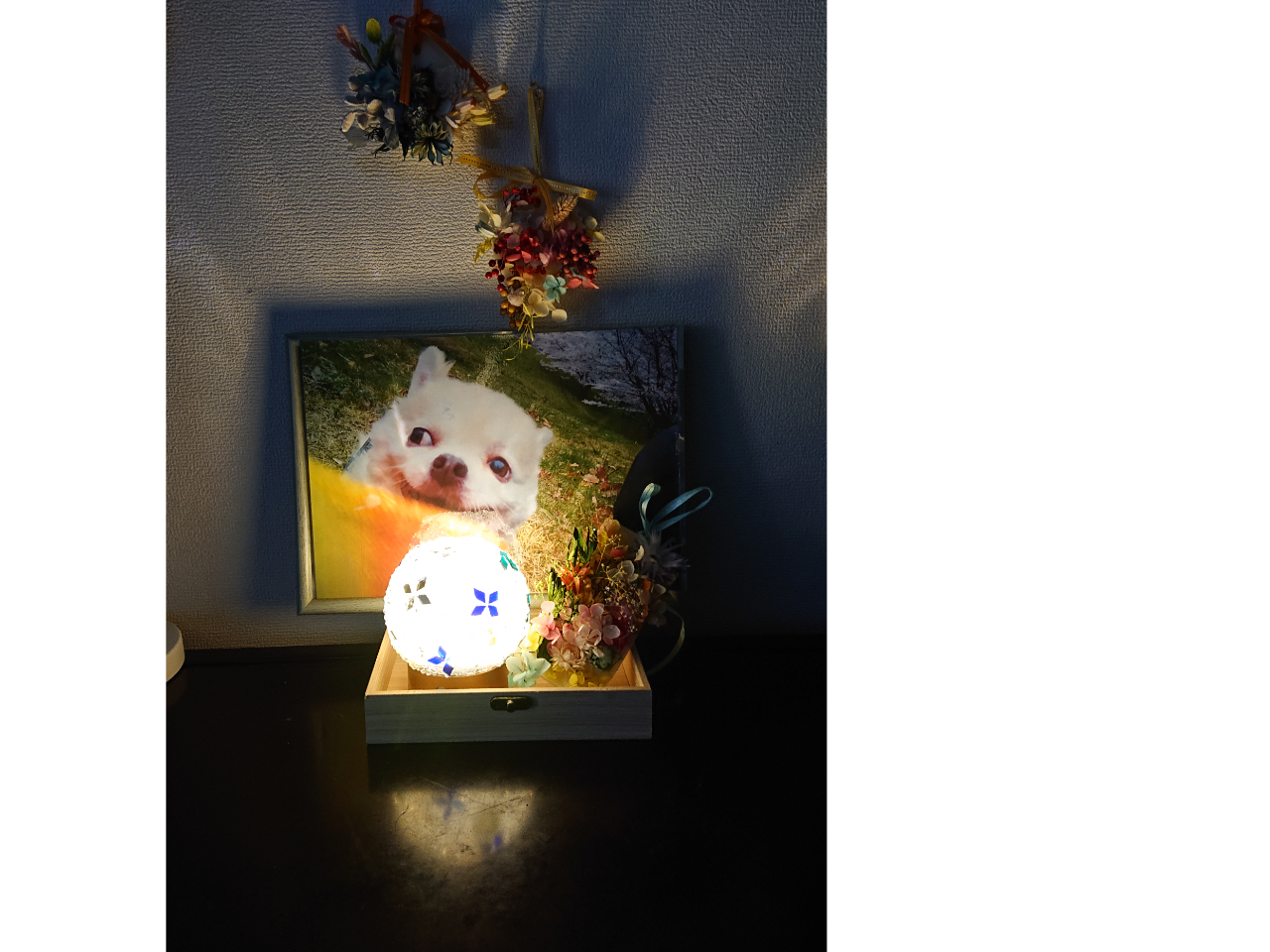 lZT[vA4TCỸplƋ               DȂԂĂ