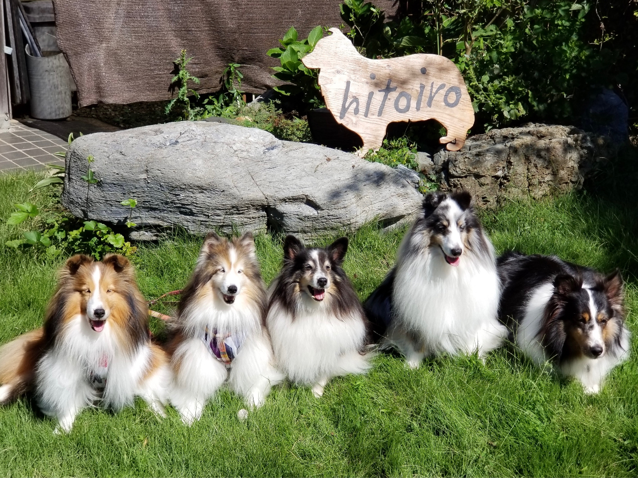 じゃらん限定】肉球ぺったんコース♪＼わんちゃん同伴OK／各時間1組