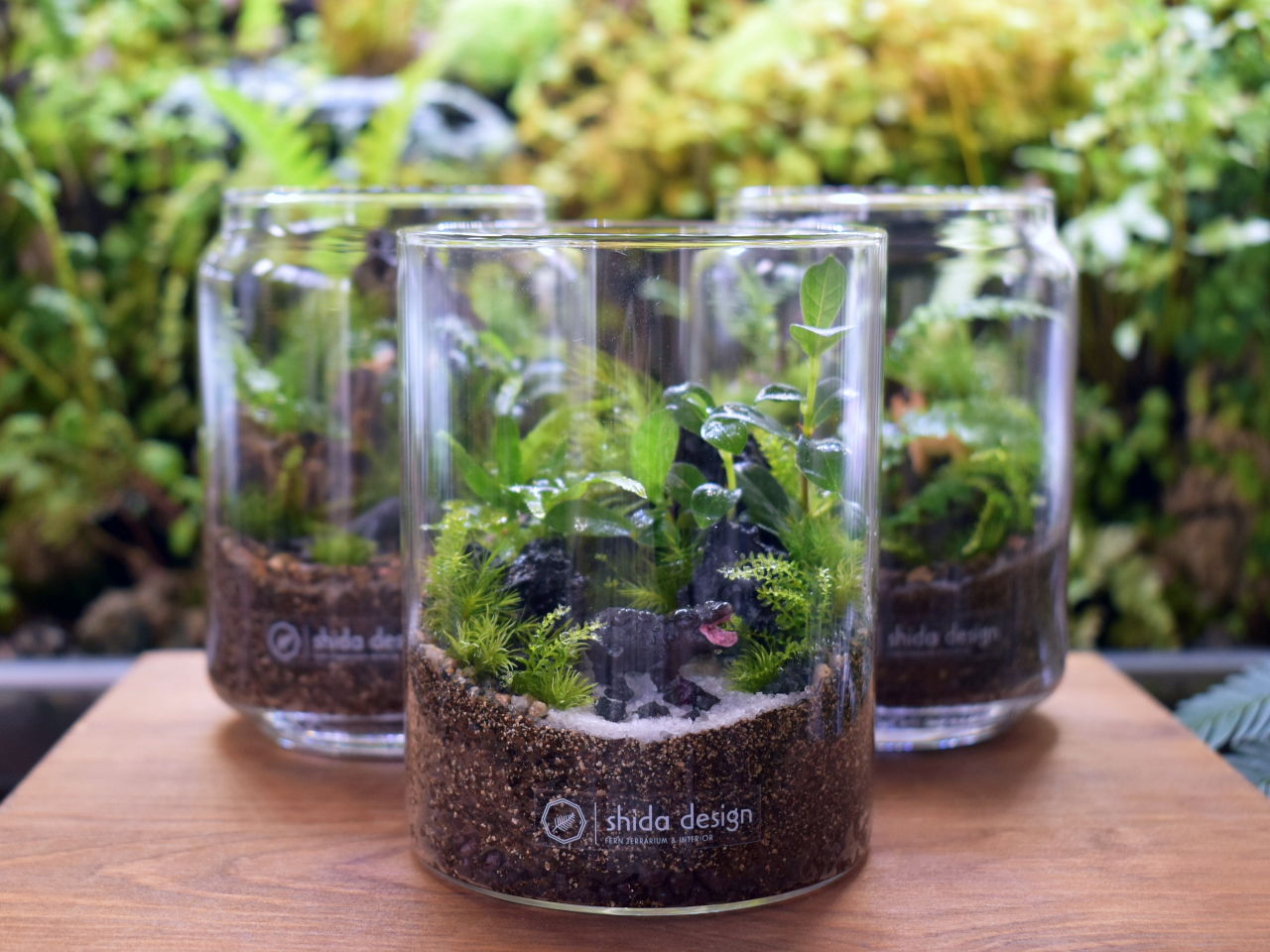 シダシリンダーイメージ