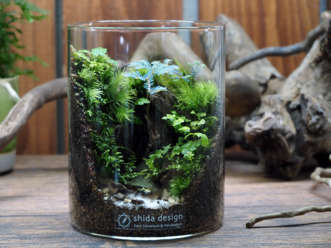 シダシリンダーイメージ