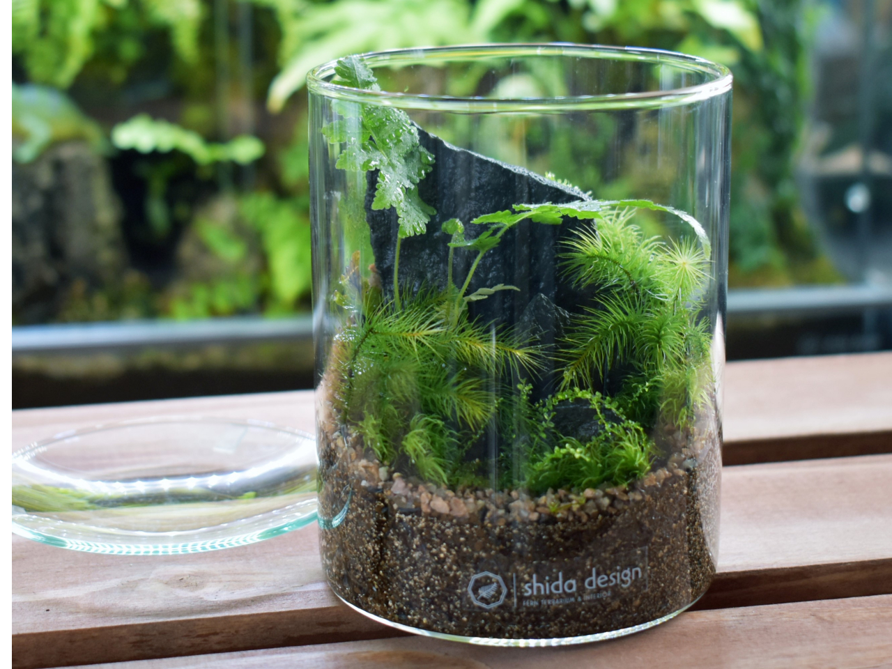 シダシリンダーイメージ