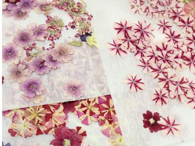 オンライン体験 初心者歓迎 お家で作る押し花ボールペン 3本セット 女性にオススメ アートスペース 葉菜ohana じゃらん遊び体験 オンライン体験 初心者歓迎 お家で作る押し花ボールペン 3本セット 女性にオススメ アートスペース 葉菜ohana じゃらん遊び体験