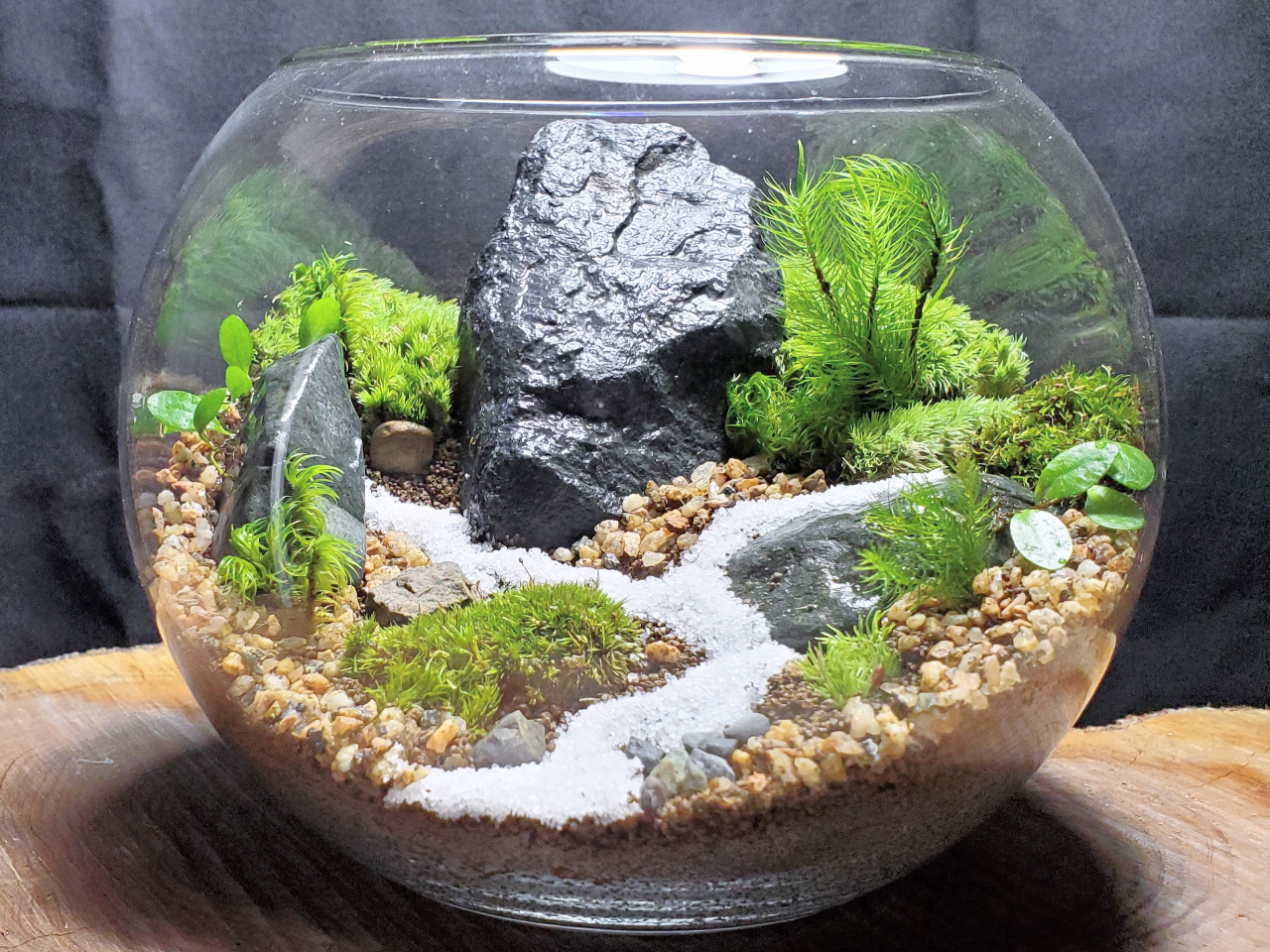 ł́ARP𒷎邽߂ɁAׂĂ̗eɃt^tĂ܂B