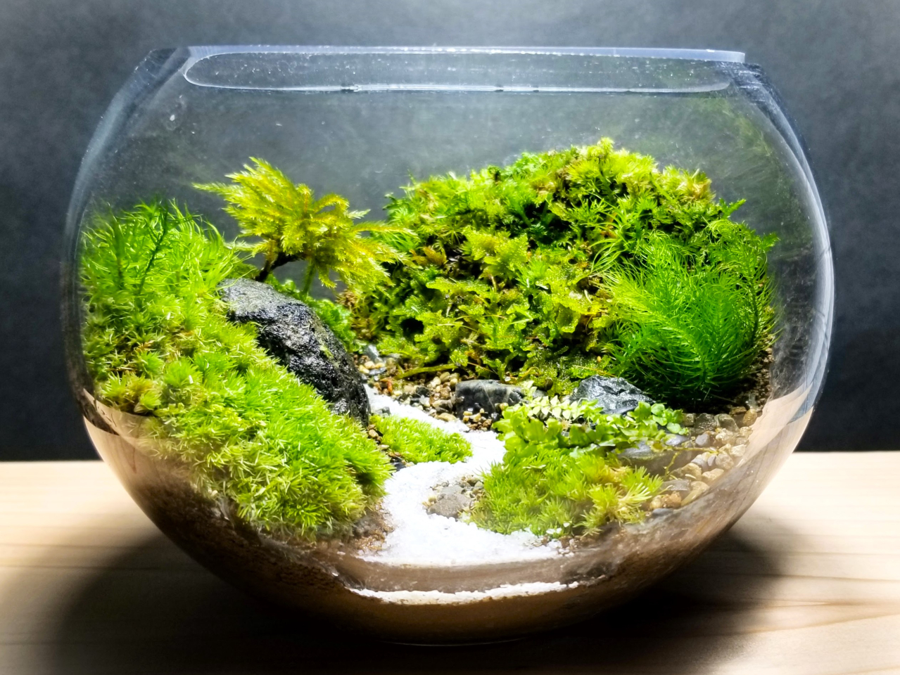 ł́ARP𒷎邽߂ɁAׂĂ̗eɃt^tĂ܂B