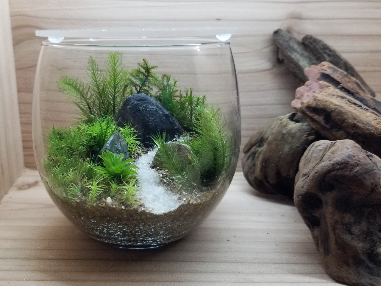 お部屋やデスクにもぴったりです!プレゼントにもどうぞ♪