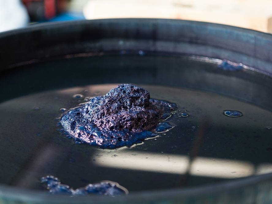 【食藍と染藍体験】食用藍の試飲・試食&ハンカチの藍染体験《手ぶらでOK!当日お持...