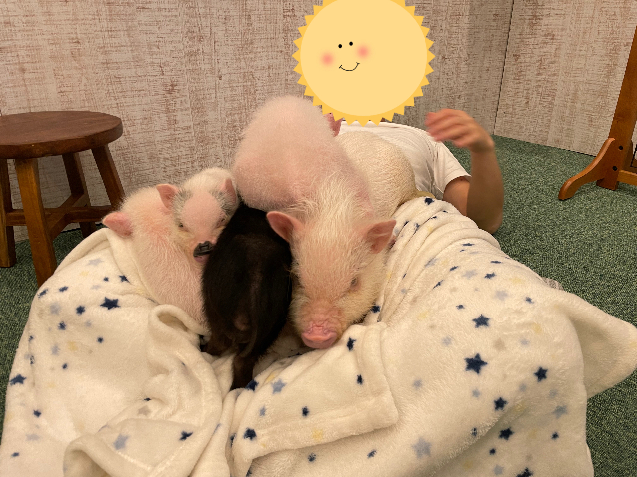 みんなお膝に集まっちゃいます