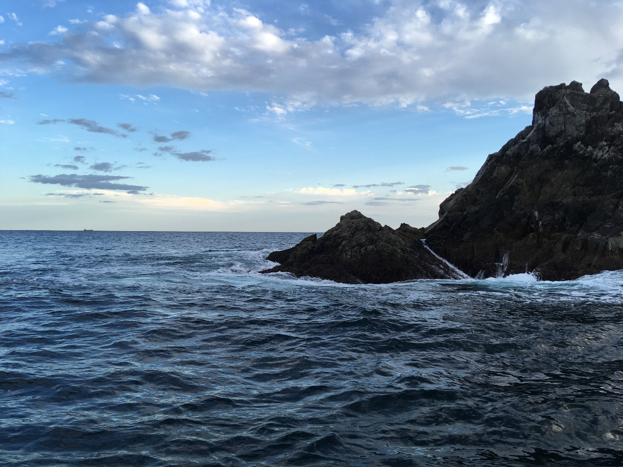 �N���[�W���O���ɏo���i�F�B