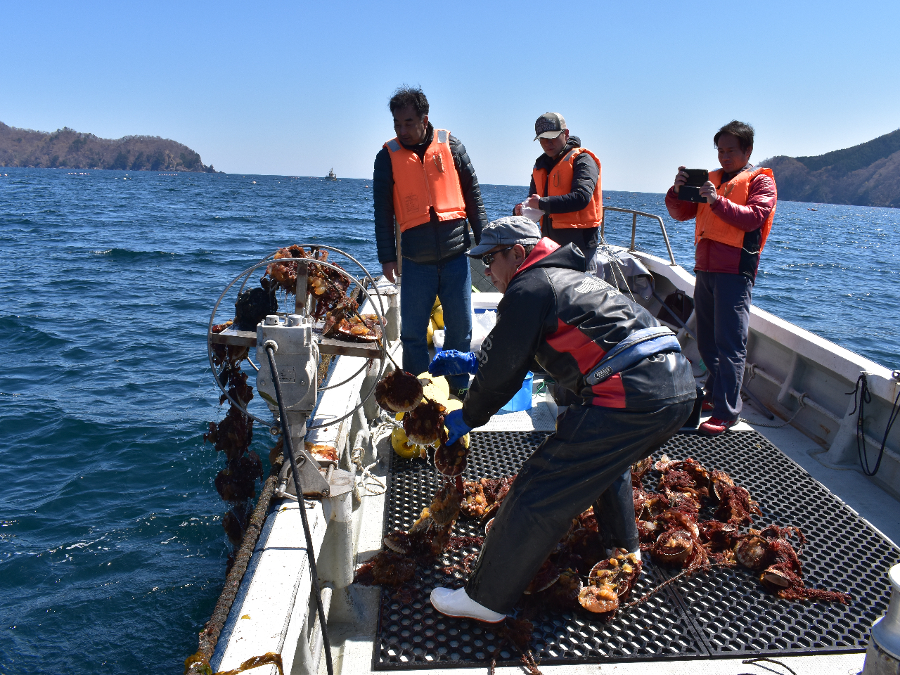 �z�^�e�������Ȃ���A�{�B�̎d���ɂ��Đ������܂��B