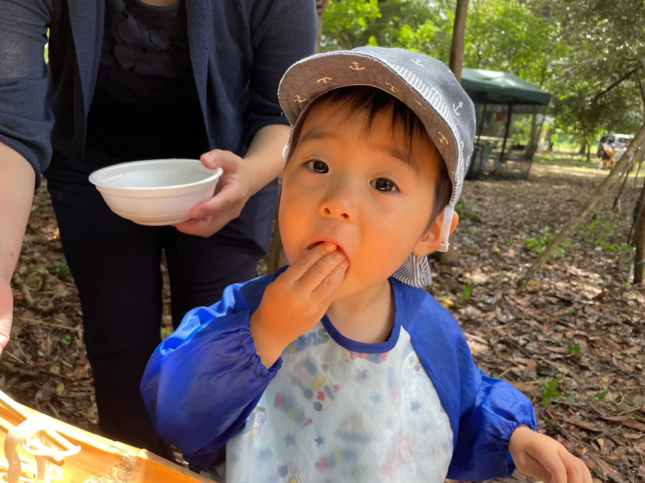 �v�킸��Â��݂������Ȃ�I���S�\�񐧁A�e�g���肾������S�ł��I