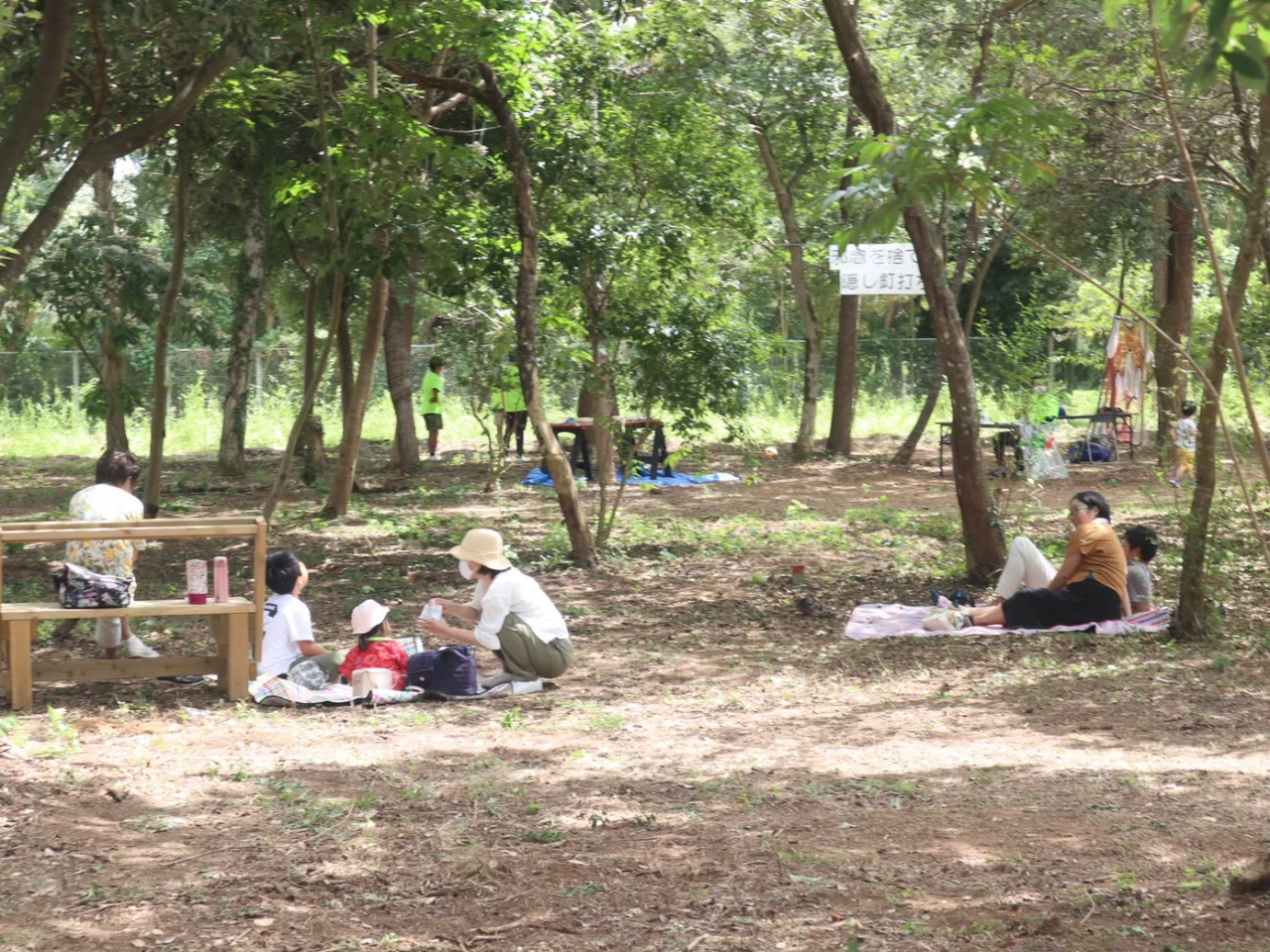 ������������o���܂��I