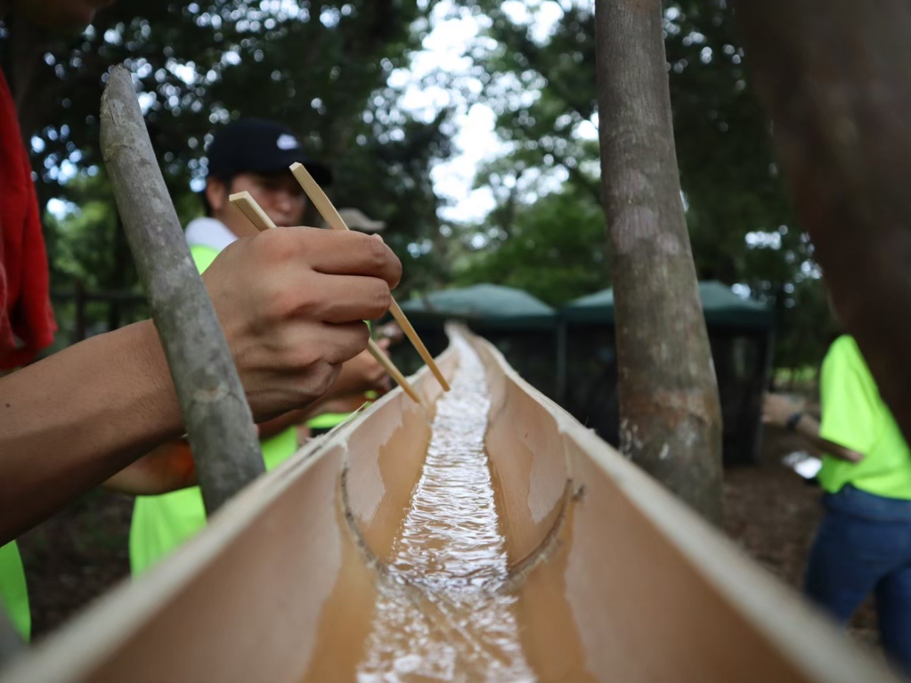 �S��50���[�g���̒|�I