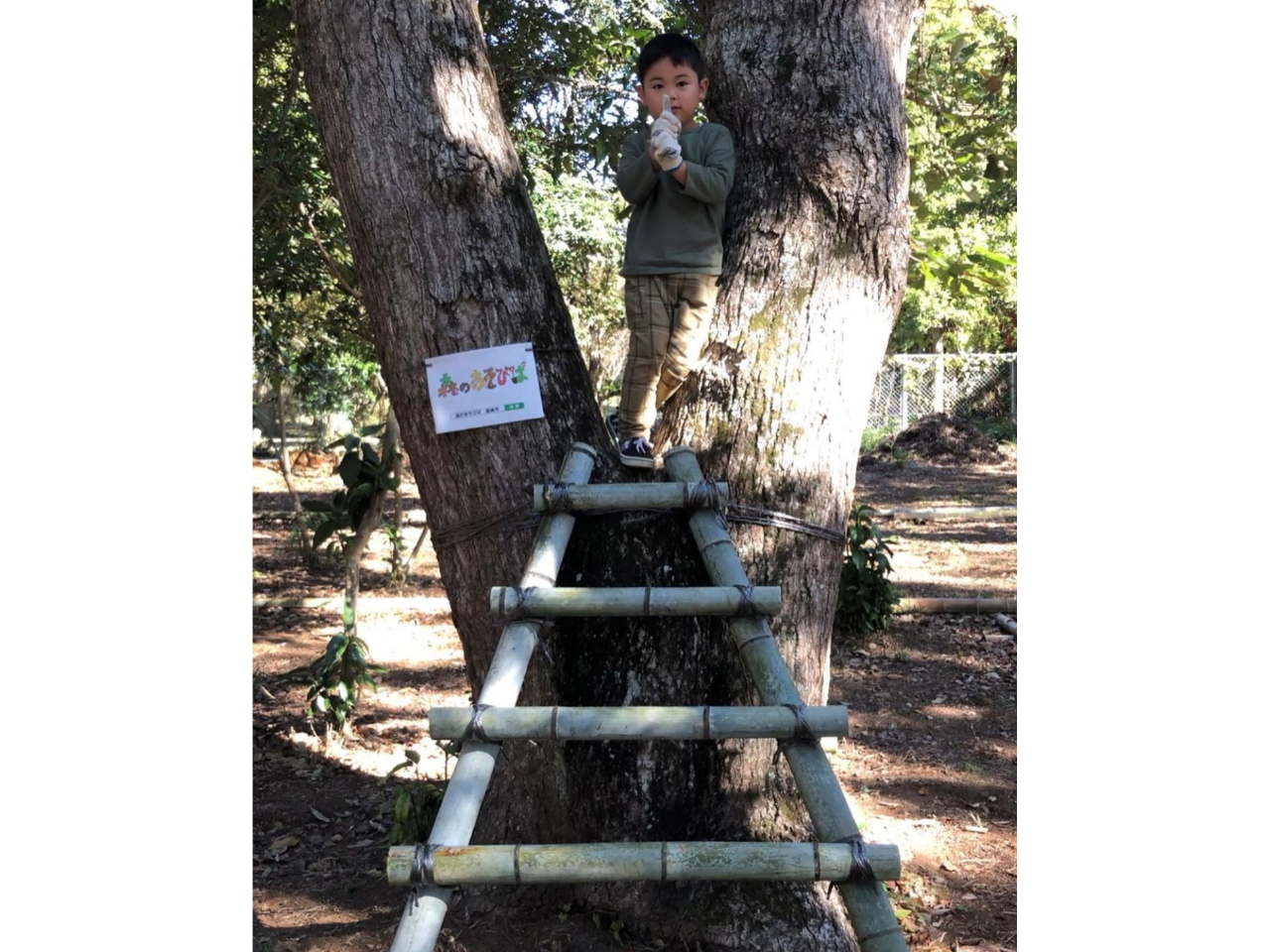 X̂т(X̂͂)@JV}TbJ[X^WAԂŖ5A_{ԂŖ7