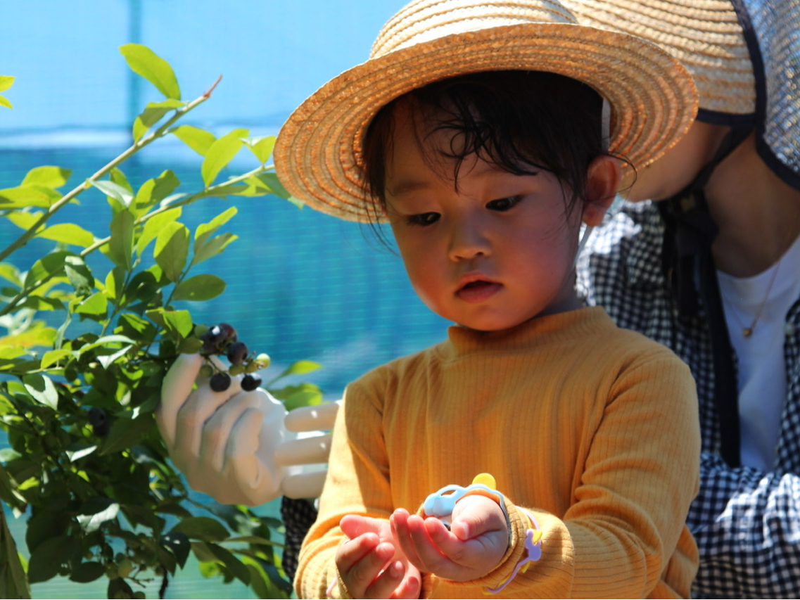 �̂�₷���悤�ɍ͔|���Ă���̂ŏ����Ȃ��q�l�ł����S�I