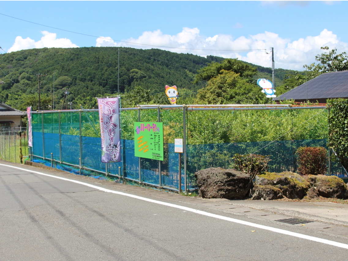 �_�����������u���[�x���[���������񌩂��܂��I