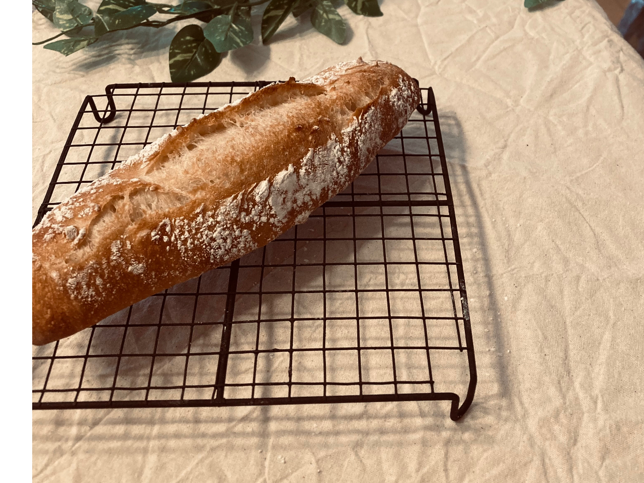 コースレッスンでは生地作りからクッペ、フィセルなど5種類のメニューを作れるように指導させていただいています