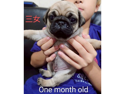 季節やイベントにあわせた衣装もお楽しみの1つです!