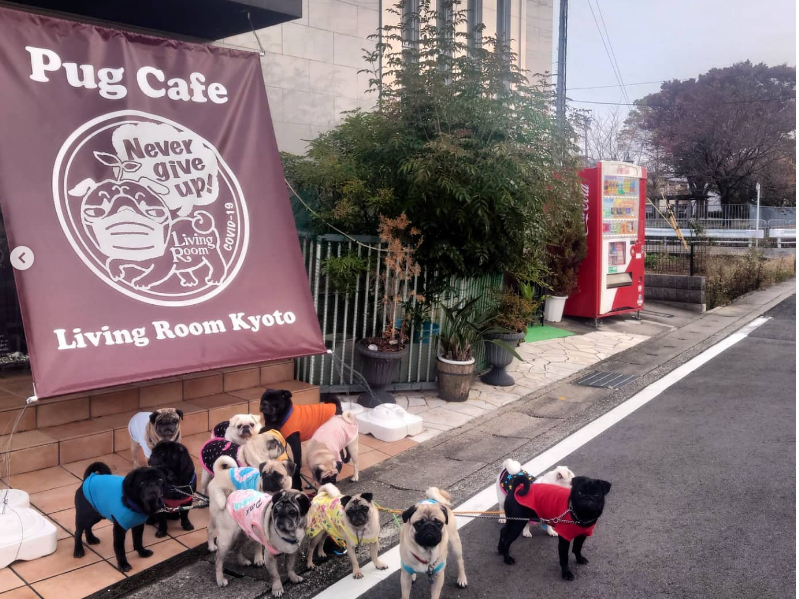 カフェ入口はこちら!