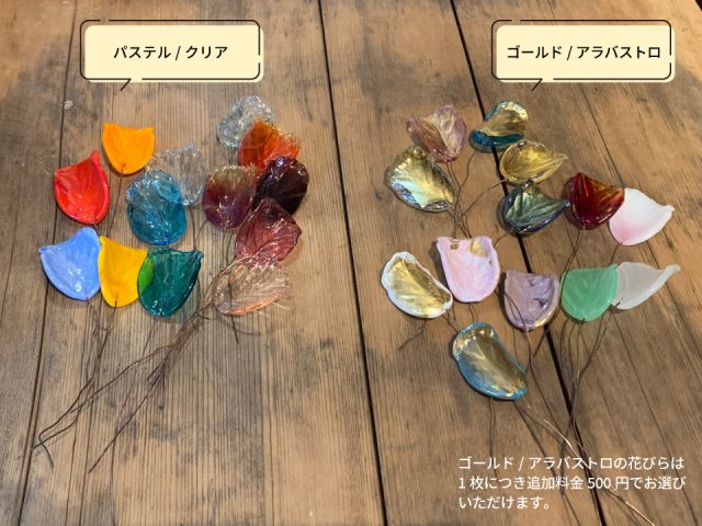 花びらの色分け