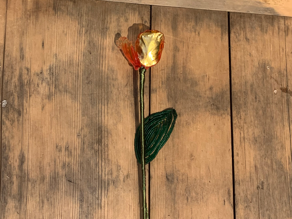 �I�v�V�����Ńr�[�Y�ŗt���ς���鎖���o���܂��B���v����+1���ԁA�ǉ�����900�~(���[�t2��)