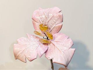 花びらはお好きな色をお選びいただけます