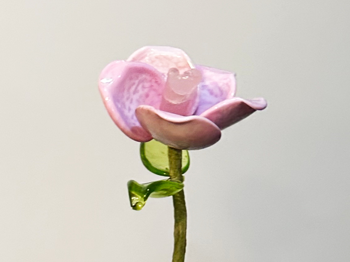 ��{�`�F�Ԃт�5���A�K�N2���A�Ԑc1��