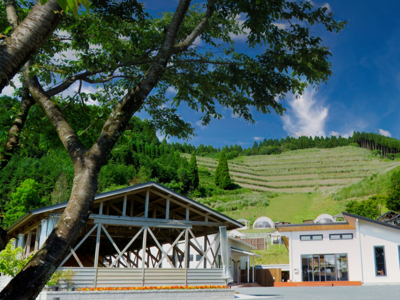 Oy`R[_CjO@Jfz@y_@I̓z@@@@@@EyǗ@tz