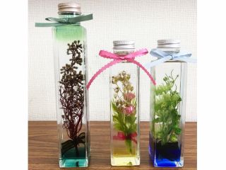 ※こちらはイメージ写真です。