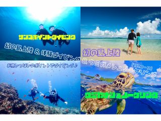 1日コース・体験ダイビング1本+ウミガメシュノーケリング+幻の島上陸