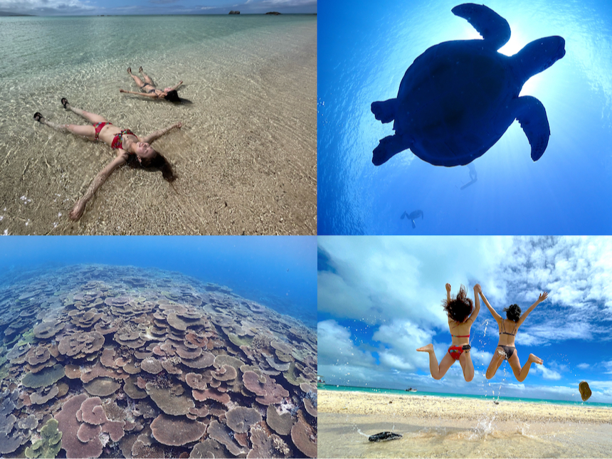 幻の島上陸&ウミガメ&サンゴWシュノーケリングコース 1日満足プラン!