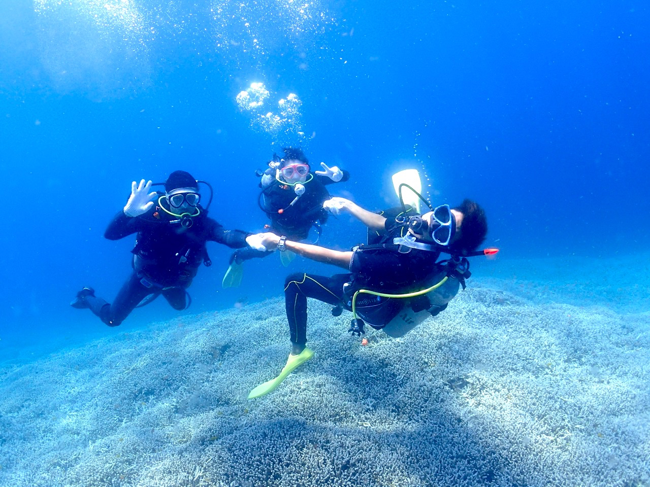 ՂՂŃTS̏j܂􋛂Ƃ̋Ƃɂ߂III