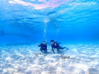 石垣島の真っっっ青な海で体験ダイビングをしましょう♪