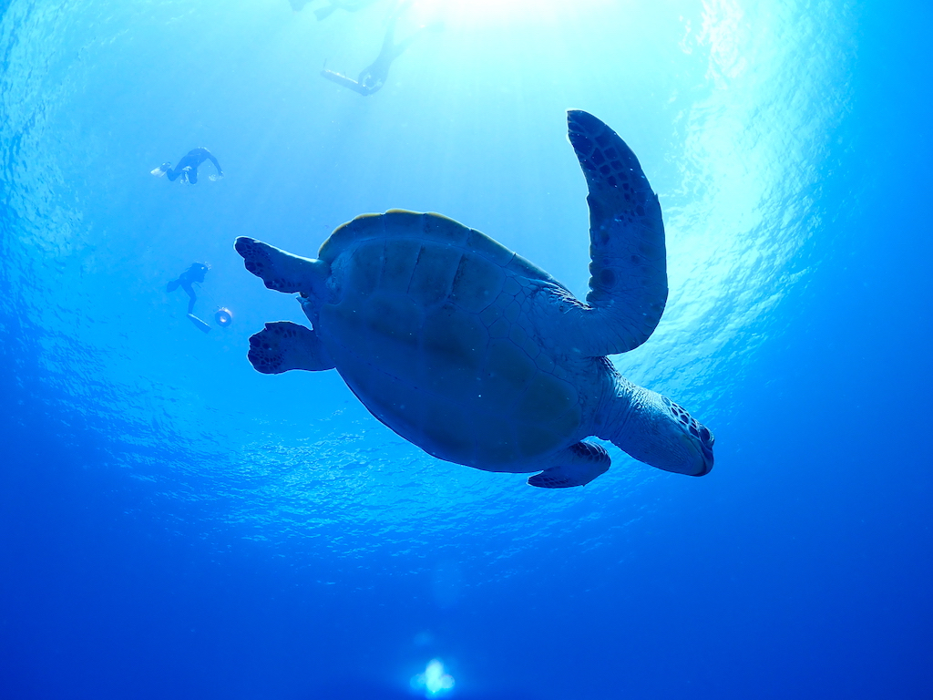 pɐʂ܂ŏオĂE~KAł₷ݒ̃E~KAjłE~KBǂȃE~K邩ȁ`HH