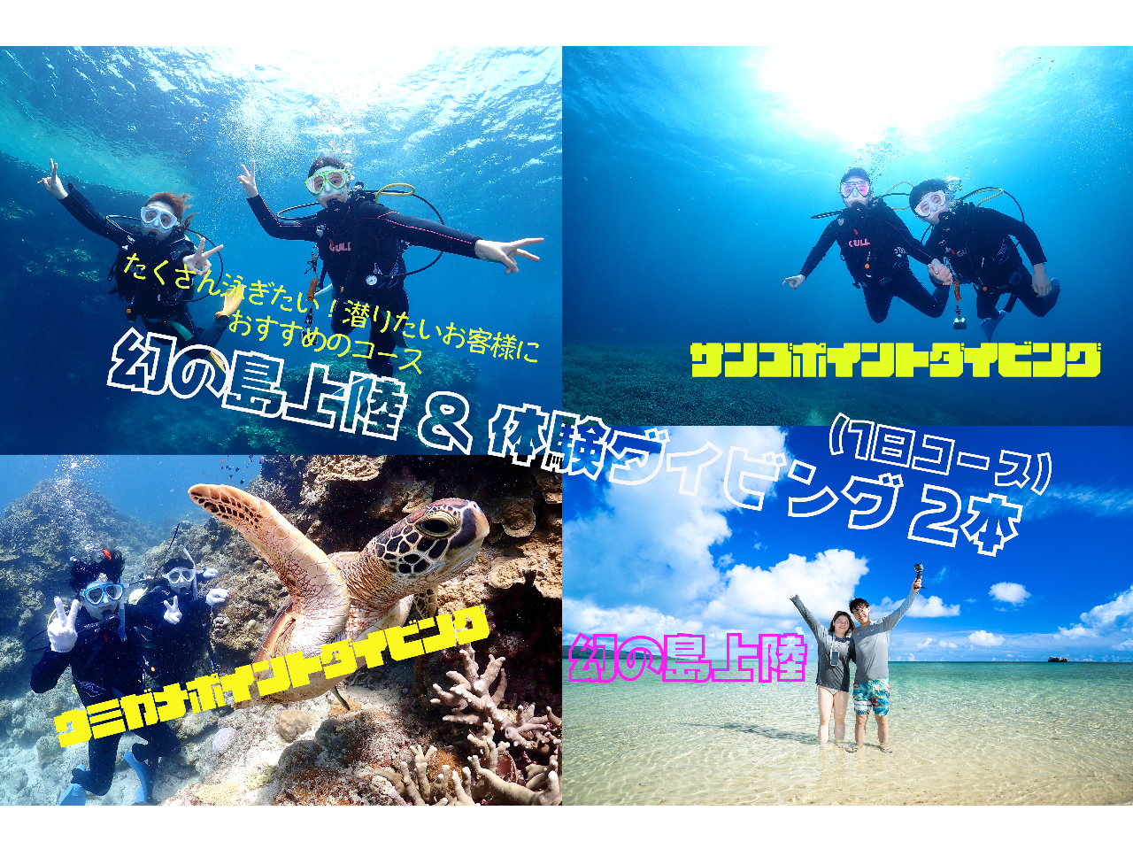 1���R�[�X�E�̌��_�C�r���O2�{�i�T���S�|�C���g�E�E�~�K���|�C���g�j+���̓��㗤