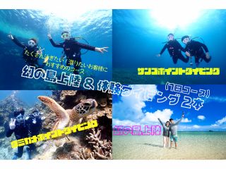 1日コース・体験ダイビング2本(サンゴポイント・ウミガメポイント)+幻の島上陸