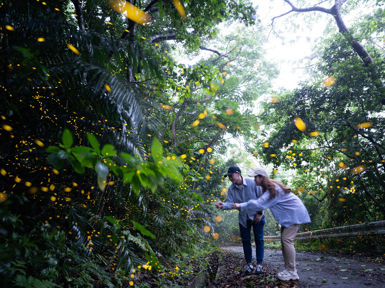 �Ί_�����s�̎v���o�Ɂ�