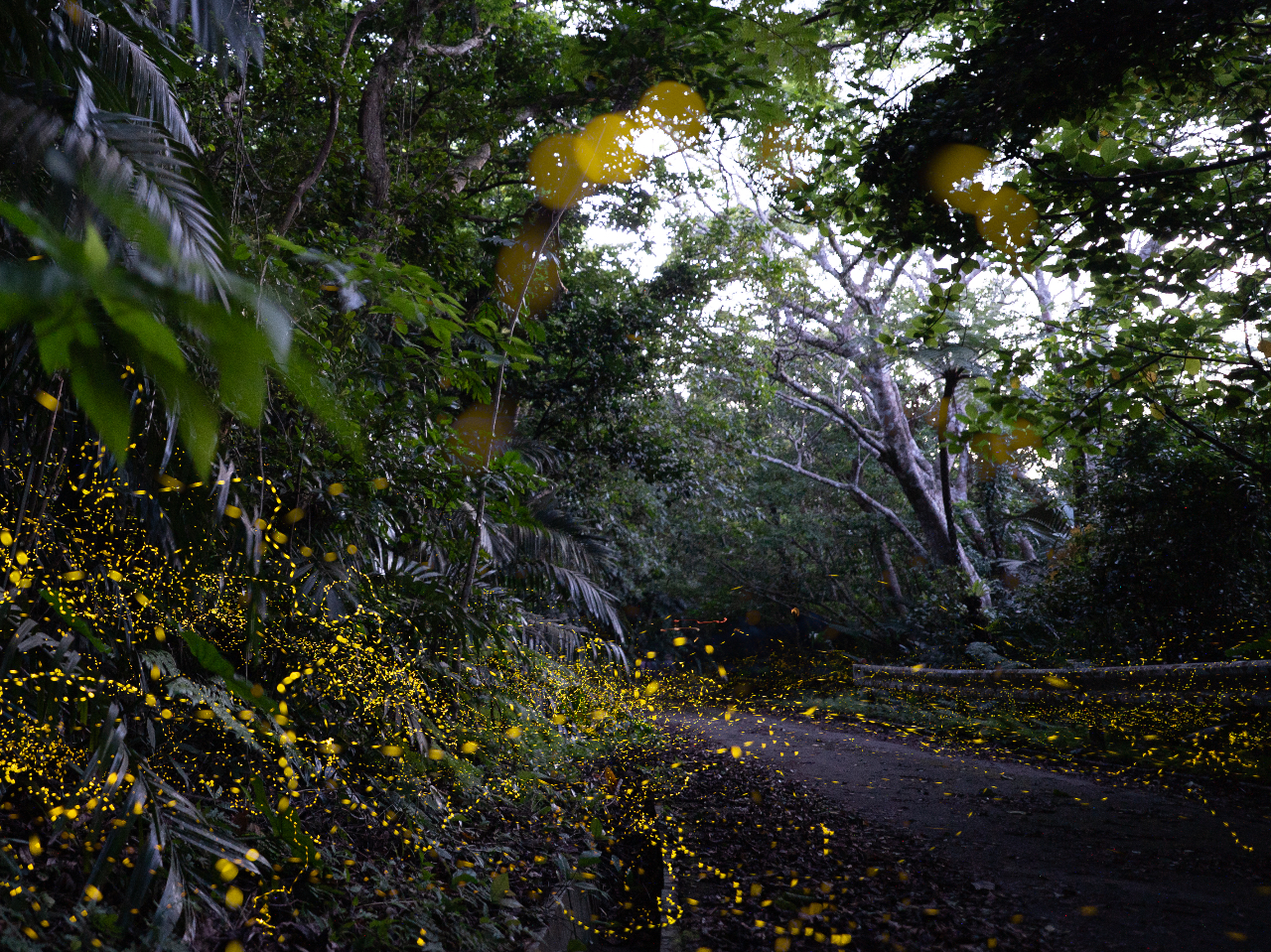 �؂̉������łȂ��A���H�܂ł��z�^������ь����܂���