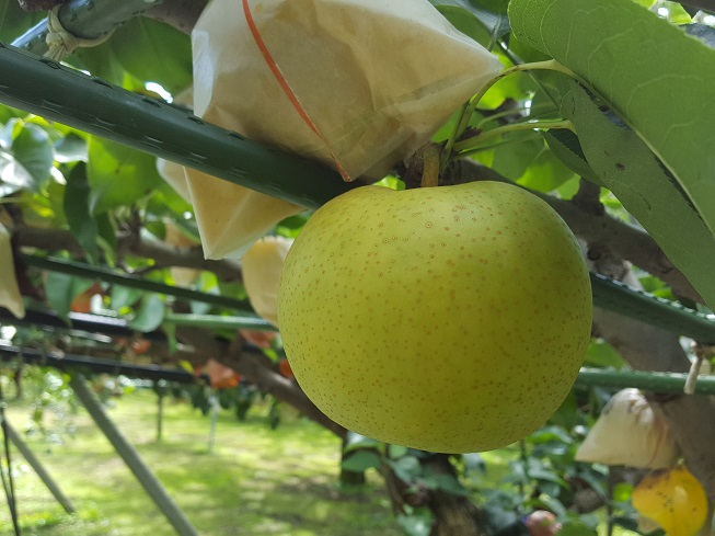 ƂĂ݂݂QOIAŋߐlCԂĂ܂