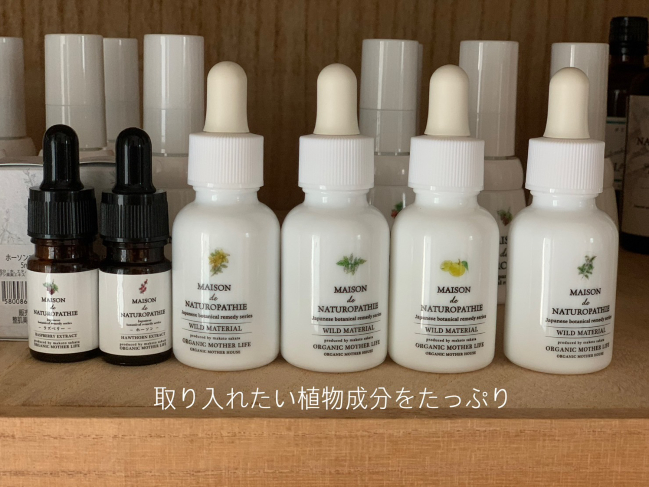 ⭐️新品⭐️ローズコーポレーション 艶美響 2本セット 植物