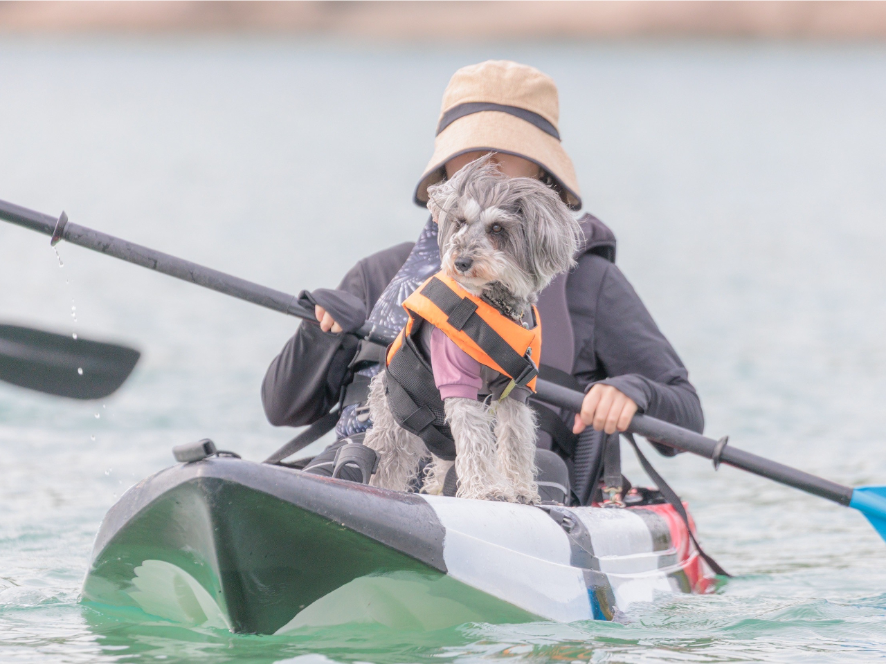 �����Ƃ̊C����