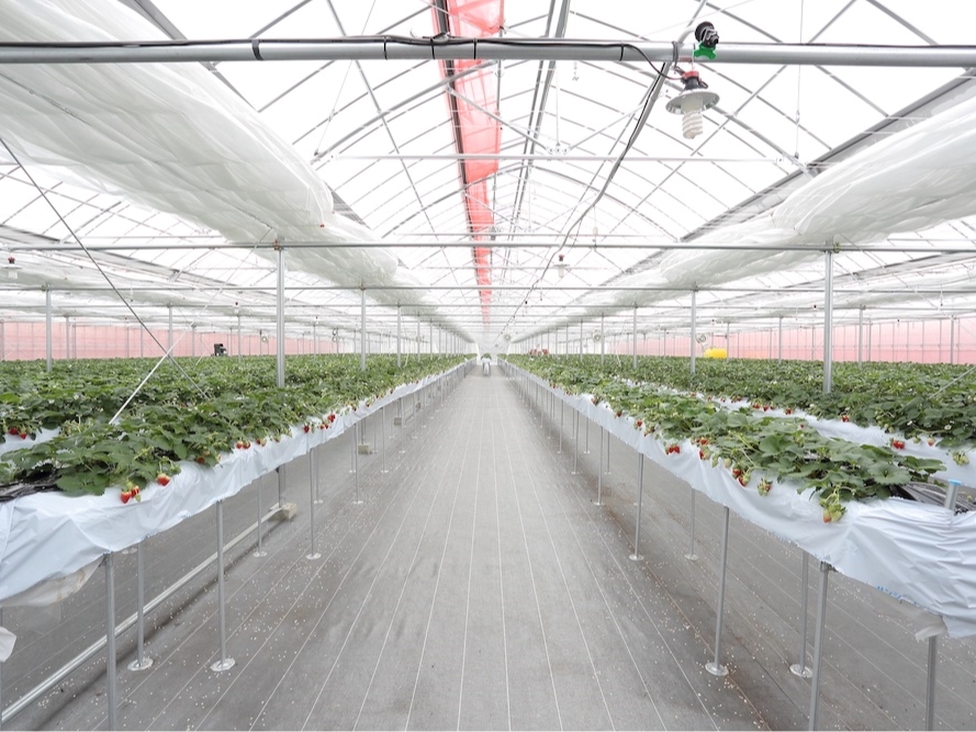 oAt[Ή̊όłBǂȂłSĂz܂