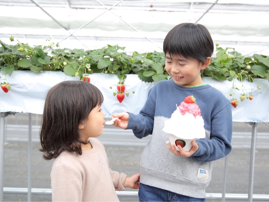 ��ؔ_�������̉ʓ����芮�n�������V���b�v�ƃ~���N�����Ղ�̂ӂ�ӂ�̂����X�����y���݂��������܂���