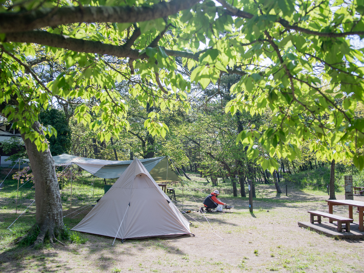 �L�����v��@�@�t���[�e���g�T�C�g