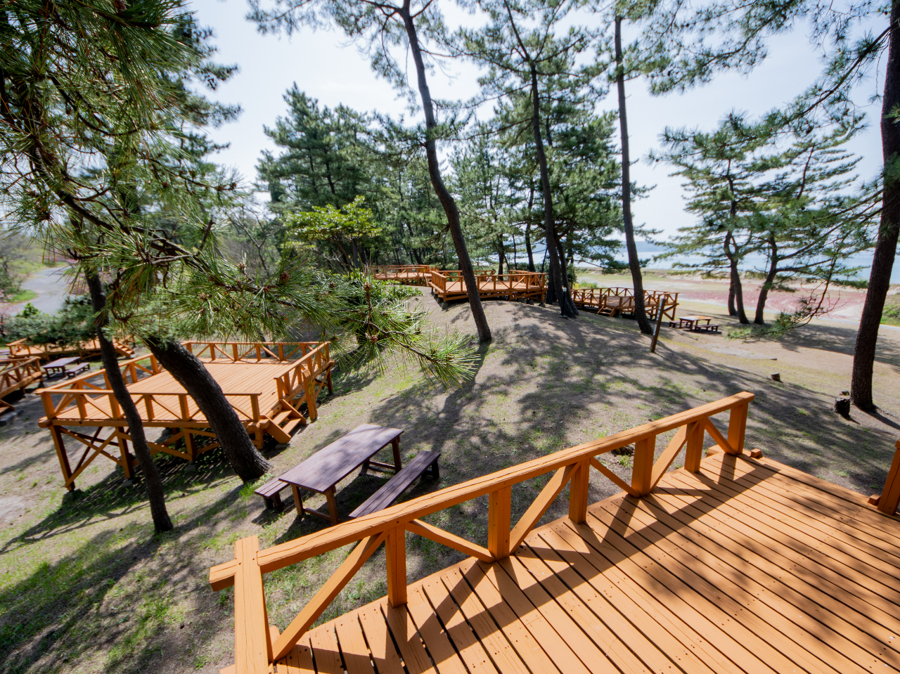 �C��]�݂Ȃ���L�����v���y���߂鍂�����e���g�T�C�g