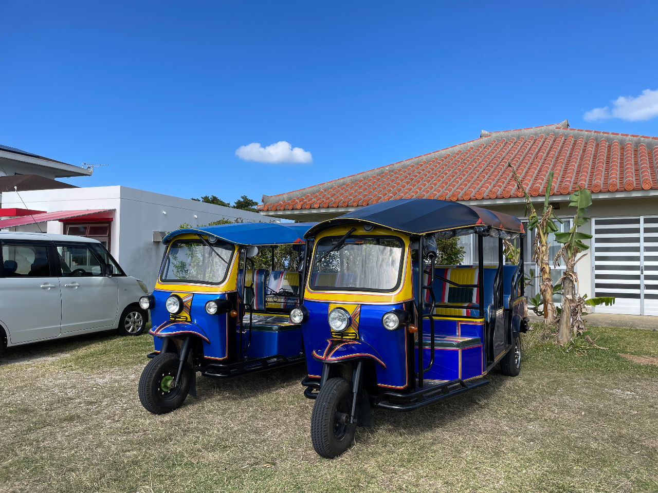 �g�D�N�g�D�N�ŐΊ_������