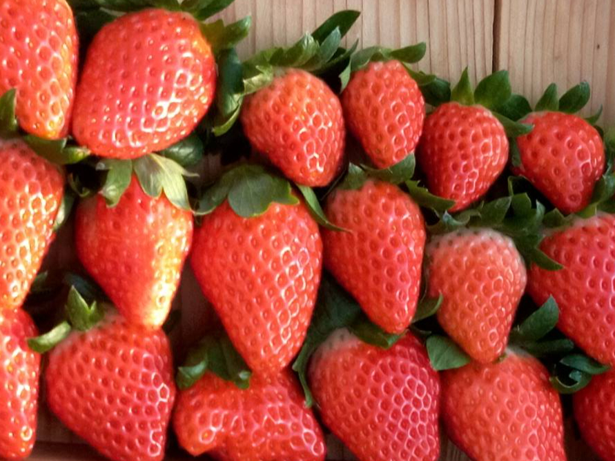 �R���i�΍�Ŋ��C���΂�����ł��}�����Ă���܂���