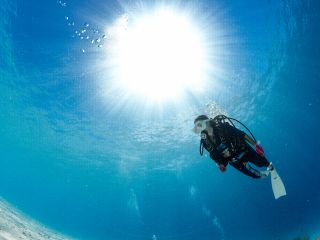 大切な思い出に水中写真無料プレゼント