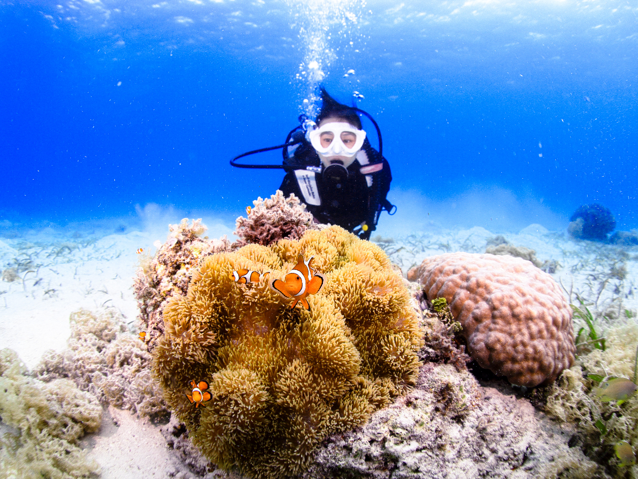 l(1l`2l)ł̂ňSʂtH[Ē܂B